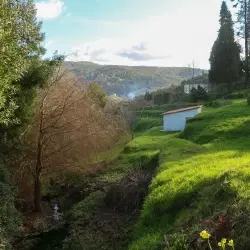 The Grandfather's Mill