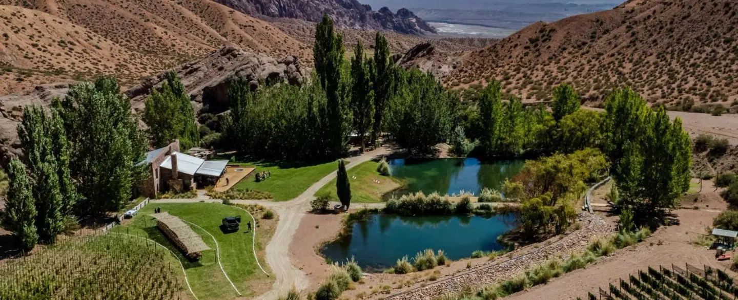 Full-Day Trip from Mendoza, Argentina to Andes Mountains for a high-altitude asado and wine pairing.