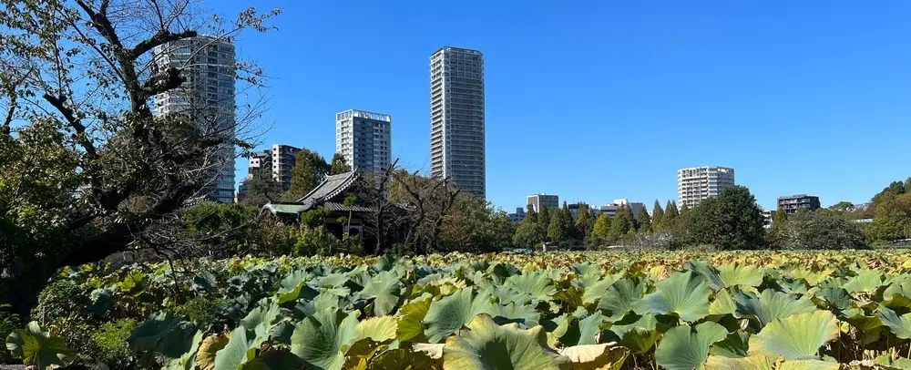Day Tour of Tokyo through temples, historic gardens, Meiji architecture, and preserved districts.