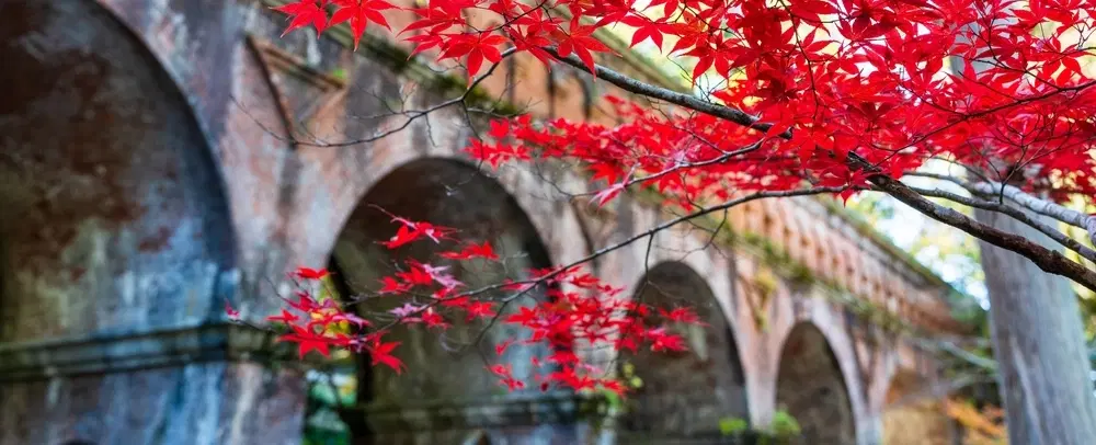 How To Read Kyoto