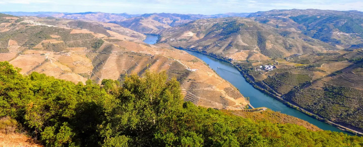 Douro Valley Tour from Porto to Régua, with wine museum, lunch with wine pairing, and viewpoint.
