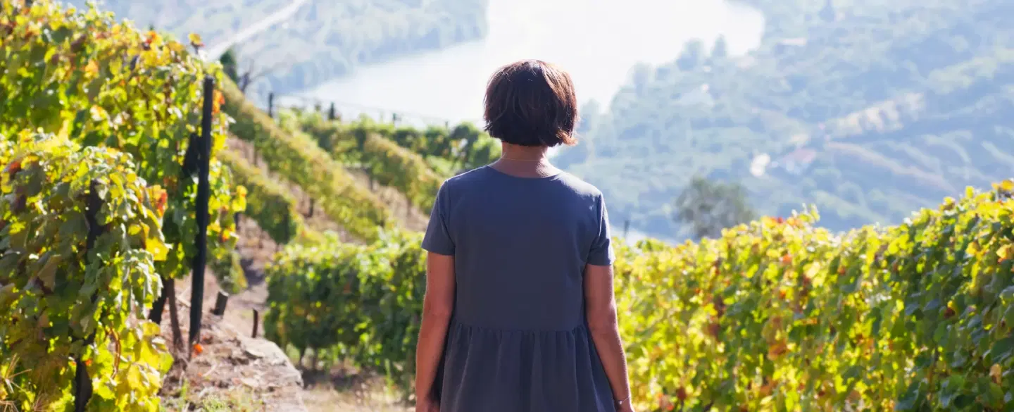 Day Trip from Porto to Douro Valley: Visit two small wineries & enjoy homemade lunch with winemaker.
