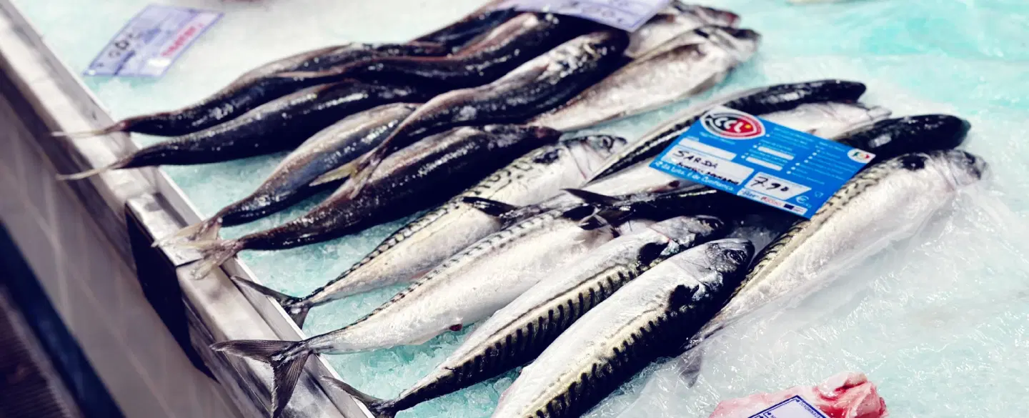 Day trip Setúbal from Lisbon to find its culinary soul in a Market-to-Table tour with a local chef.