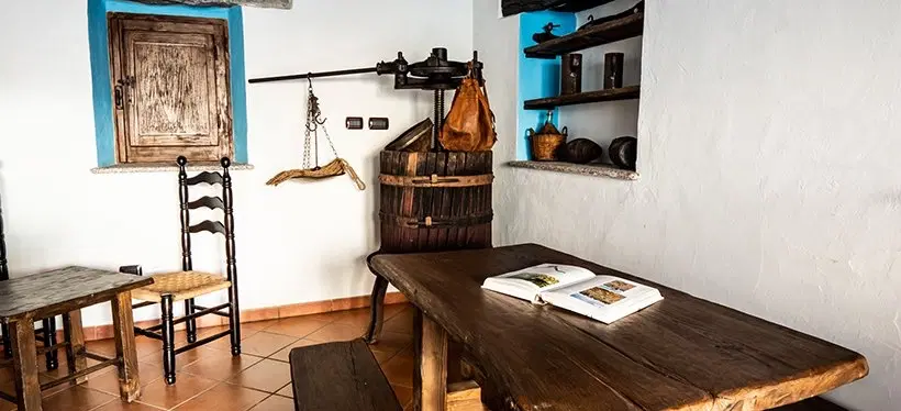 Wine Tasting in Sardinia with vineyard walk and visit to a historic home in the heart of Mamoiada.