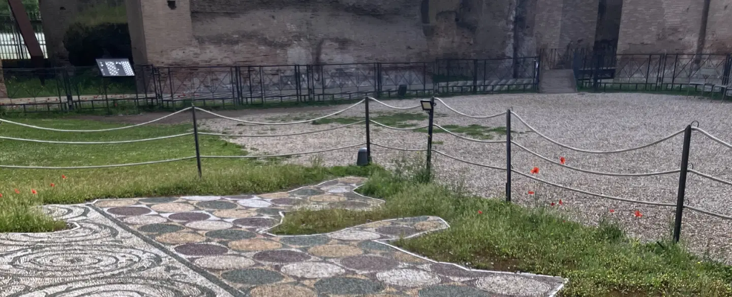 Archaeological Tour in Rome exploring rituals, politics and architecture at the Baths of Caracalla.