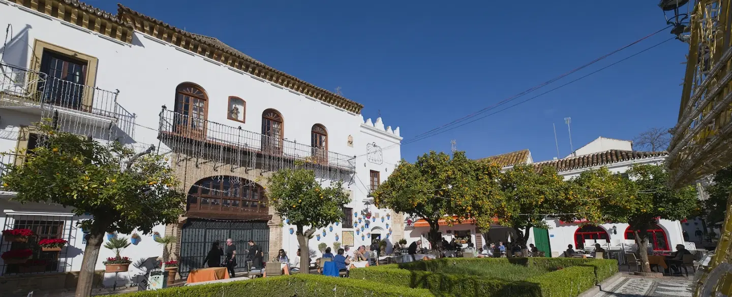 Marbella Day Trip from Malaga exploring Roman mosaics, Islamic medina, Golden Mile on Costa del Sol.