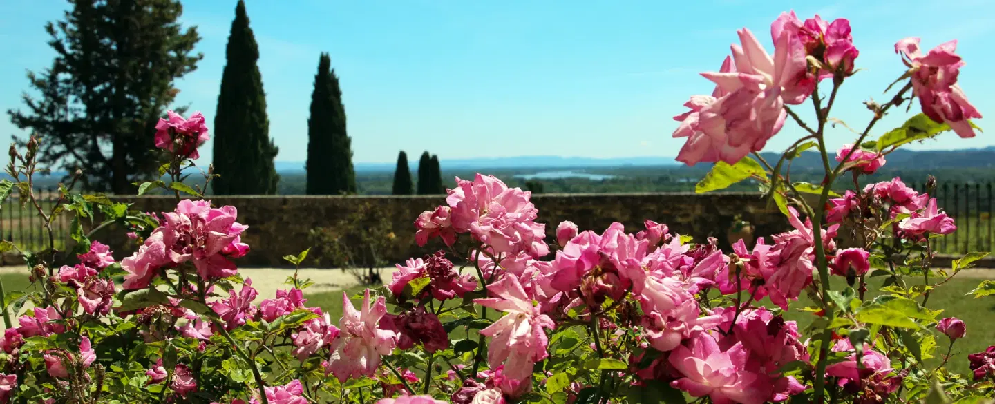 Châteauneuf-du-Pape Wine Tour in Provence near Avignon with estate visits, private tastings & lunch.