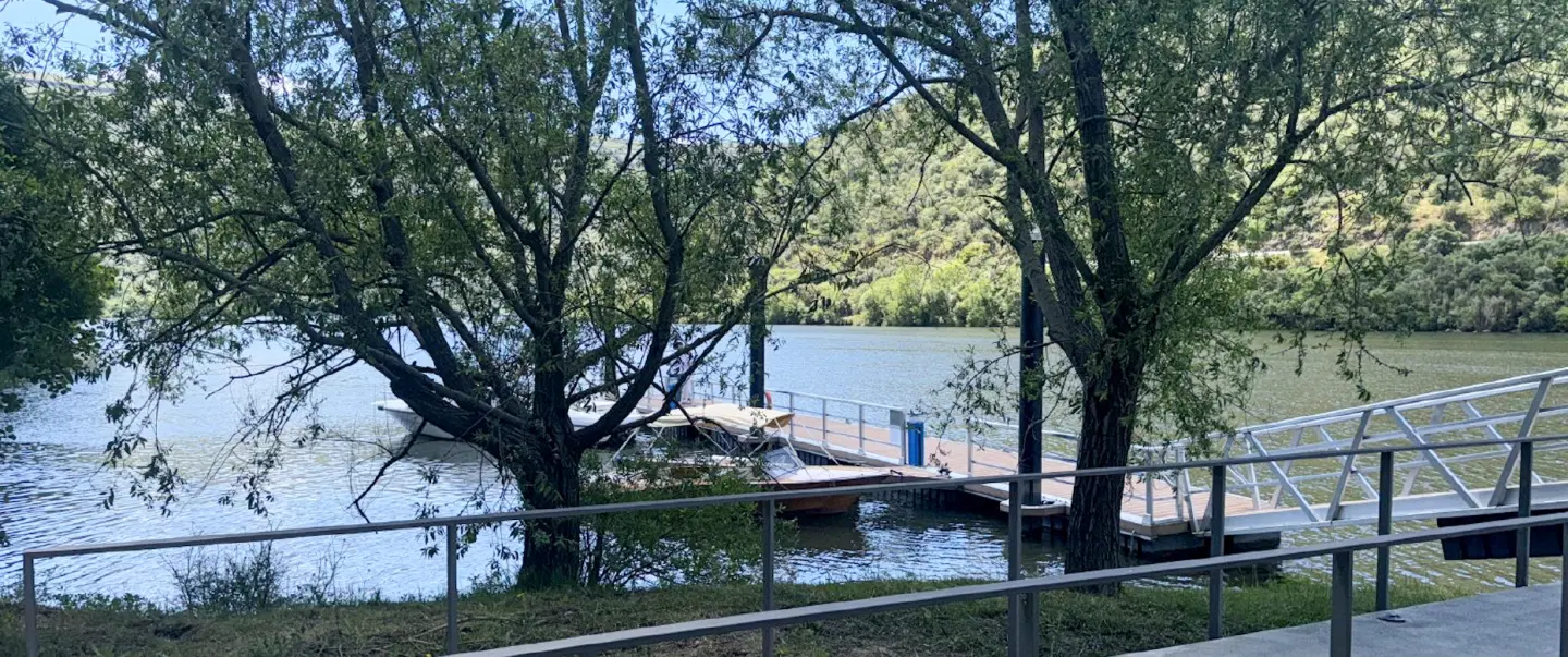 Half-Day Tour in Douro Valley: Scenic views, private rabelo boat cruise and wine tasting with lunch.