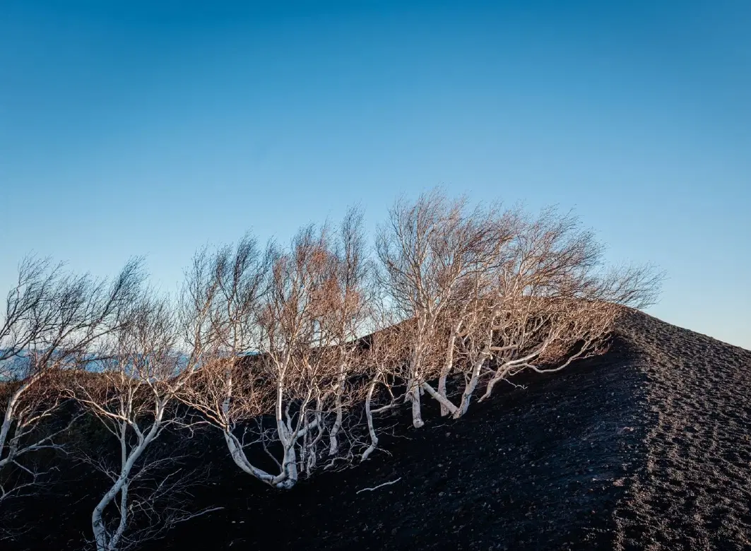 Hiking Tour on Mount Etna in Sicily, followed by a traditional Sicilian lunch in a private home.