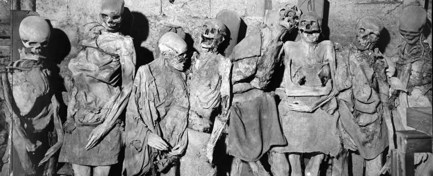 Walking Tour in Bordeaux exploring dark history and folklore, from Saint-Michel mummies to Goya.