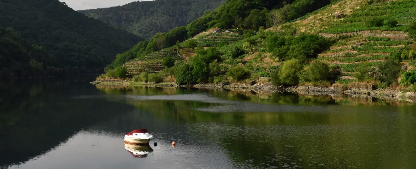Day Trip from Madrid to Galicia with wine, ice cream tasting and sailboat cruise on the Miño River. 