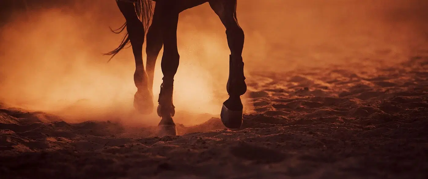 Full Moon on Horseback