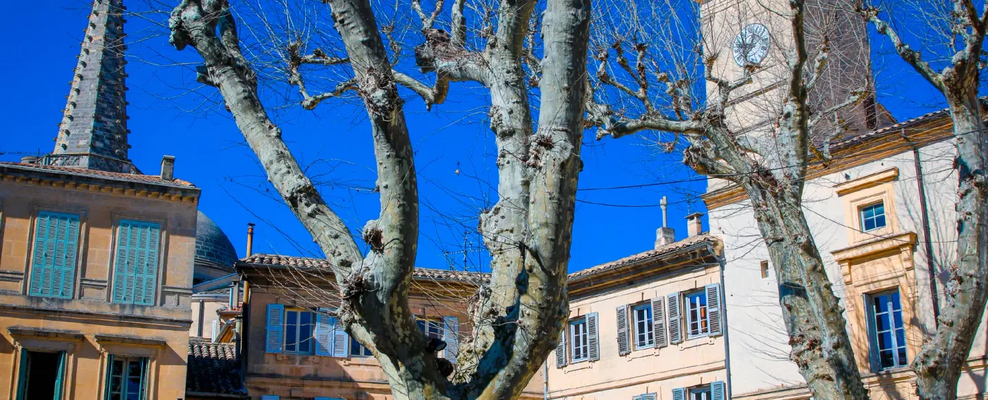 Day Trip in Provence to Saint-Rémy-de-Provence & Arles exploring Van Gogh sites and Roman landmarks.