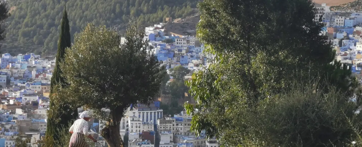 Hiking Tour in the Chefchaouen hills, farm visit and meal with a local family, 2 hours from Tangier.