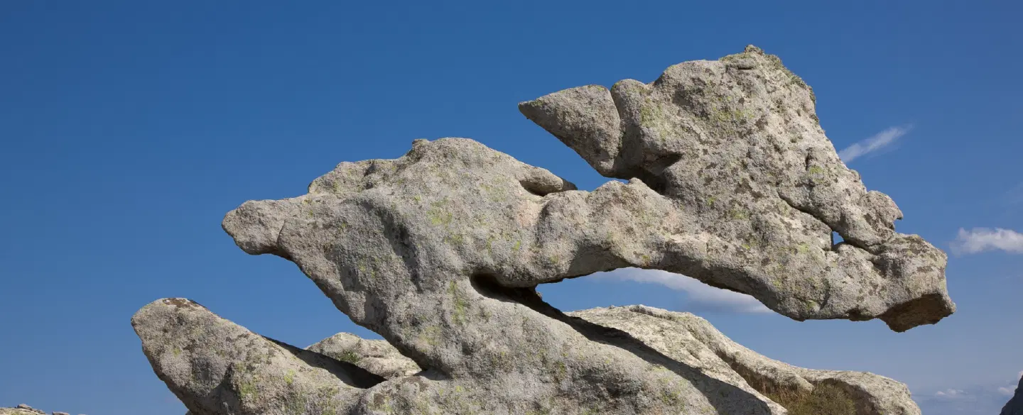 Granite Creatures