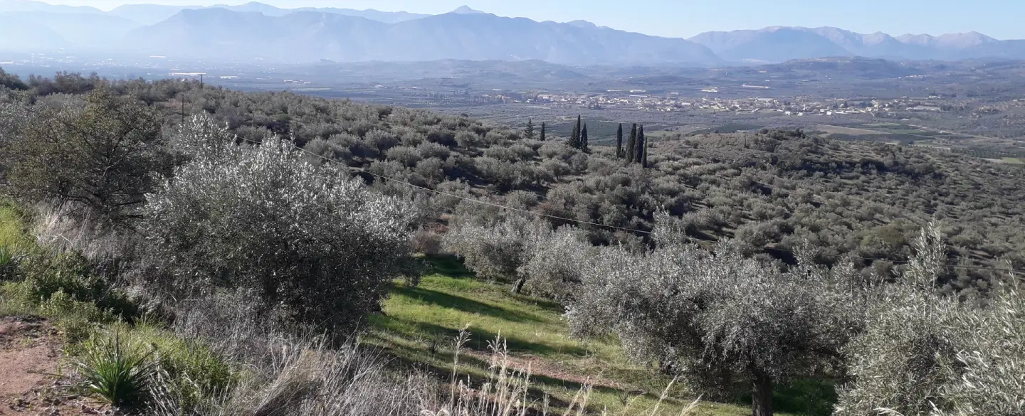 Archaeological Tour in Mycenae, from Nafplio or Athens, with ruins, tholos tombs and a hiking tour.