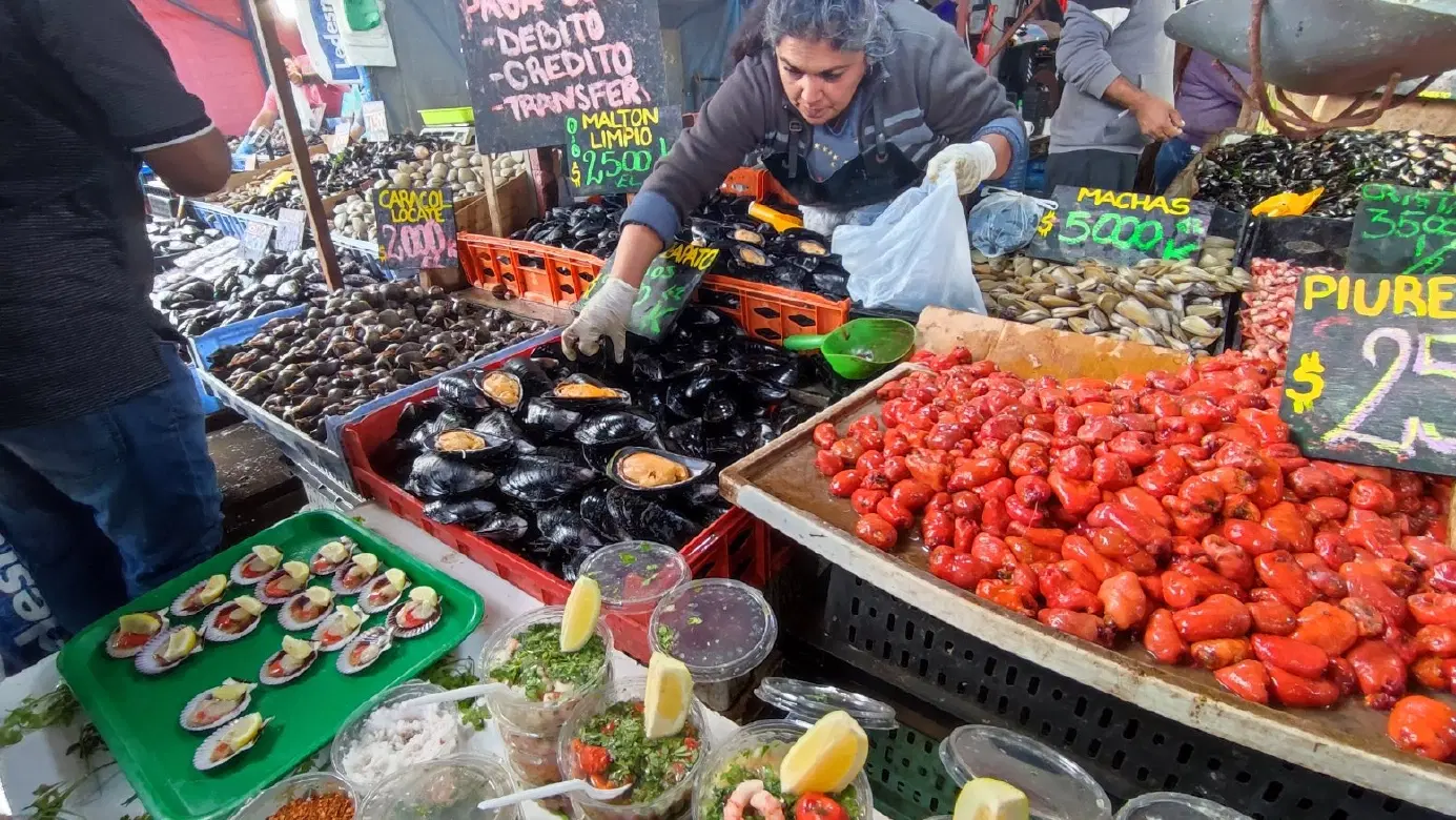 Day Trip from Santiago, Chile with fine art and street murals in Viña & Valparaíso and wine tasting.