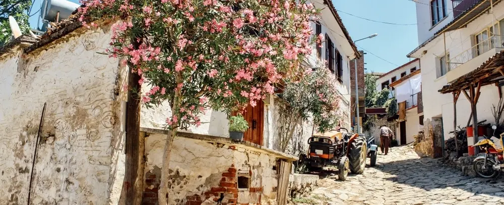 Wine Tour from Kuşadası or İzmir: Tastings & vineyard walk in boutique estates in Selçuk & Torbalı.