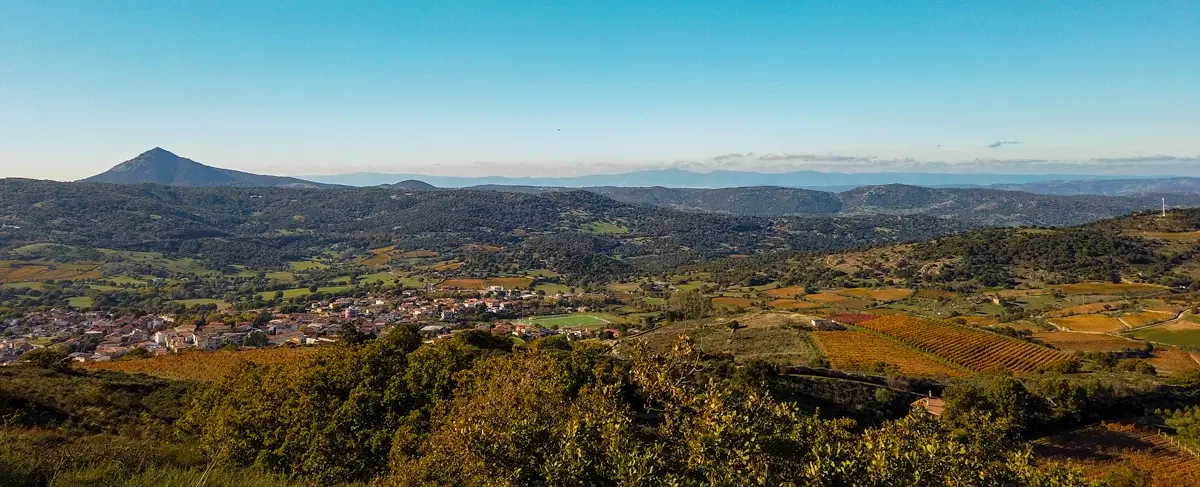 Wine Tasting in Sardinia with vineyard walk in Mamoiada and traditional Sardinian lunch included.