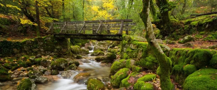 Nature Day Trip to Peneda‑Gerês National Park from Porto with waterfalls, heritage, and wildlife.