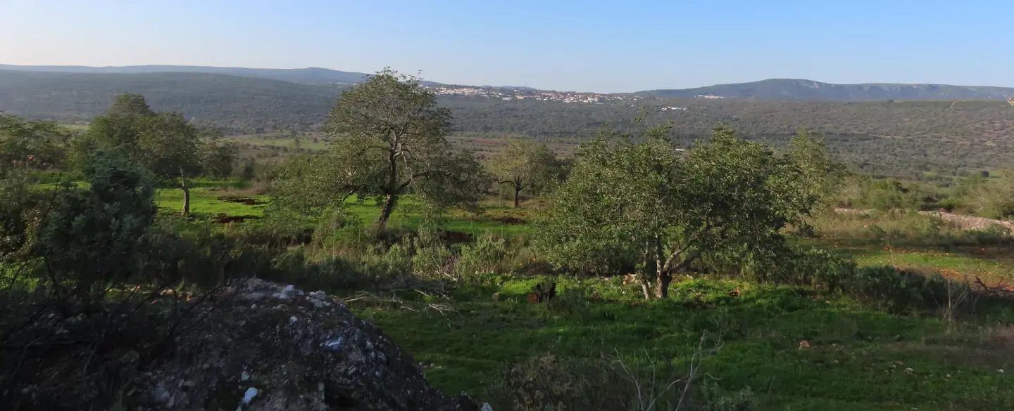 Algarve nature hike with a naturalist through carob fields with harvest tasting & country breakfast.