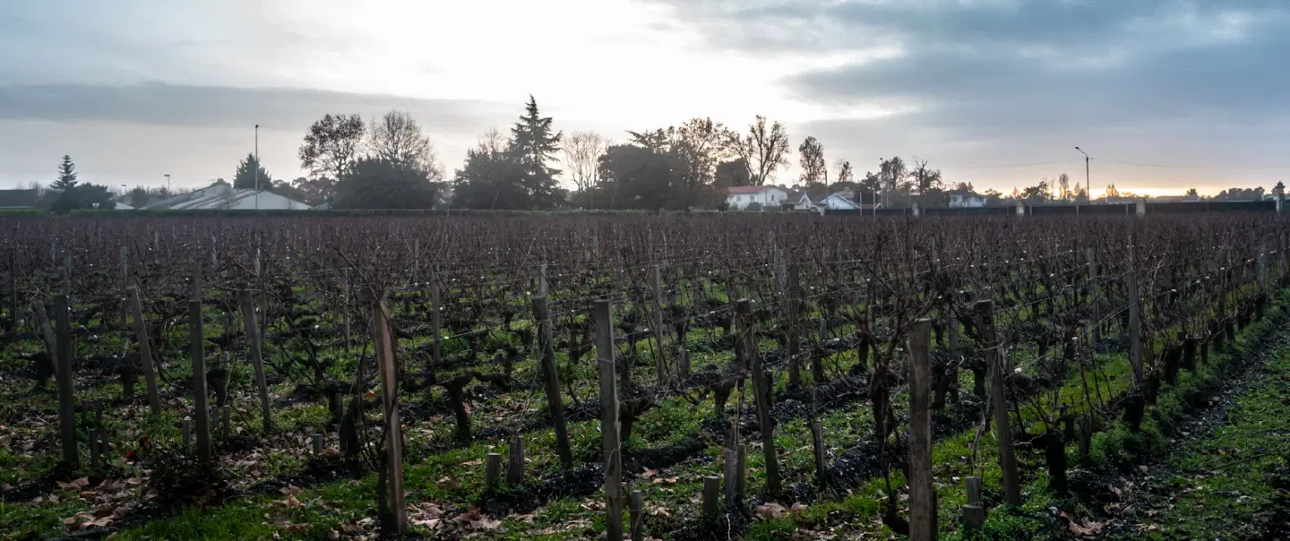 Graves Grand Cru Wine Tour near Bordeaux: private château visit, tasting, wine heritage insights.