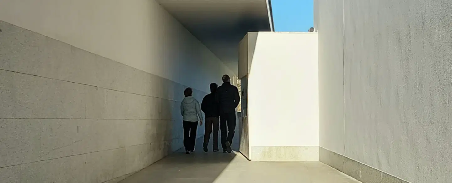 Serralves Tour in Porto exploring Serralves Park, outdoor sculptures & Álvaro Siza architecture.