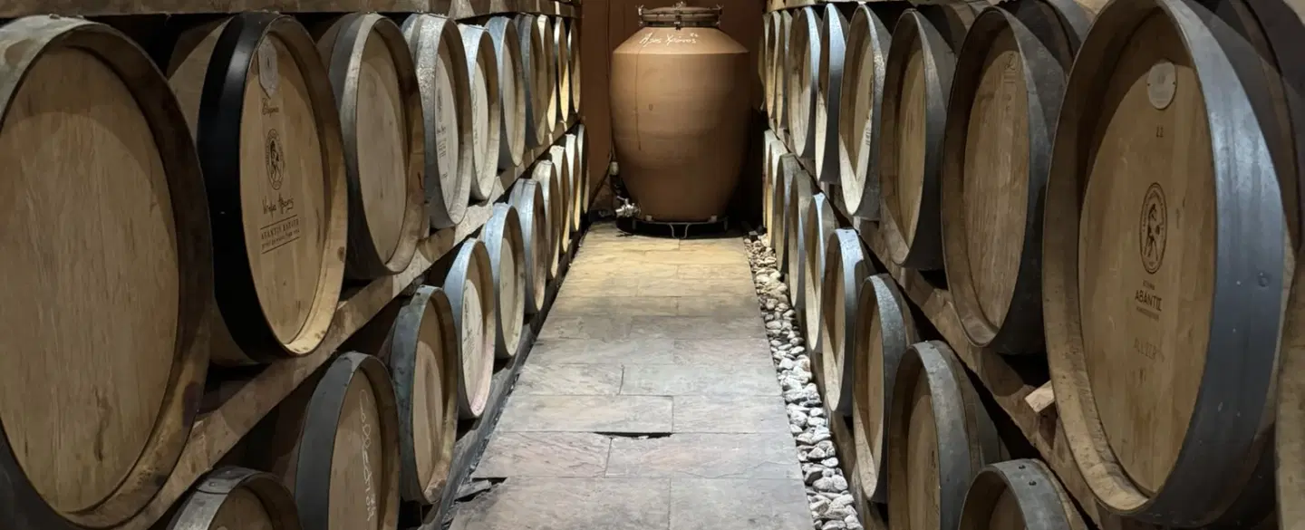 Day Trip from Athens to Evia Island for truffle hunting, followed by lunch and wine tasting.