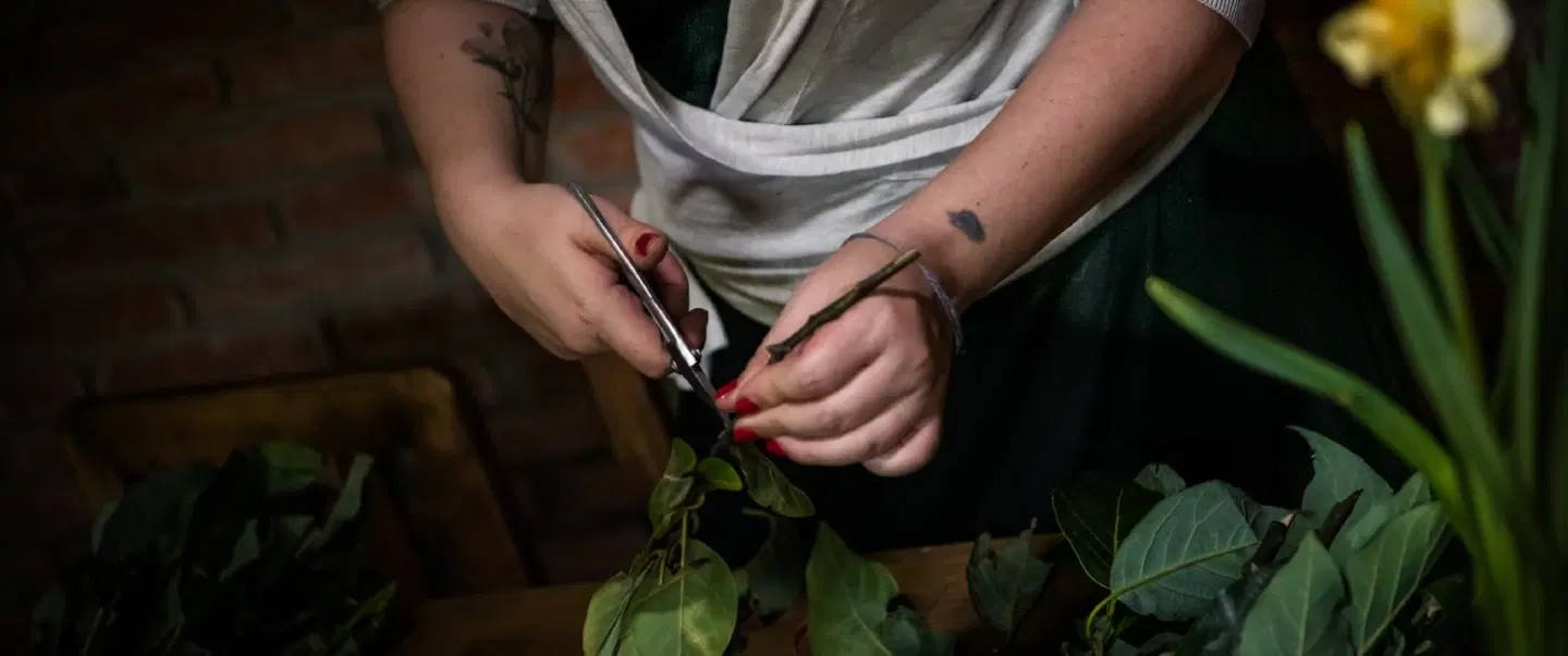 Walking tour with a floral curator through Mexico City’s Mercado de Jamaica—flowers, fruit, stories.