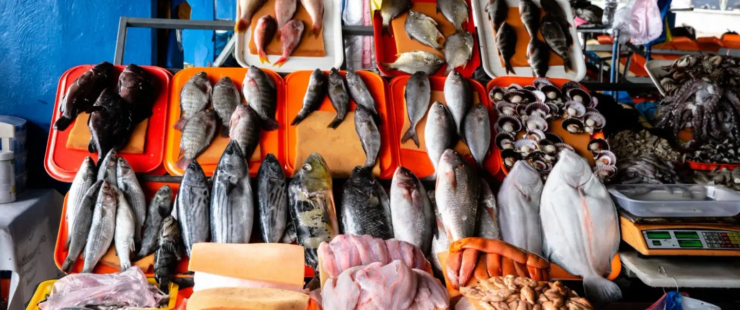 Food & History Walking Tour in Lima: Pueblo Libre markets, ceviche, and independence-era landmarks.