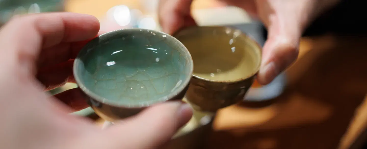 Sake Tasting in Kyoto exploring Fushimi sake breweries, nihonshu heritage, and yakitori dining.