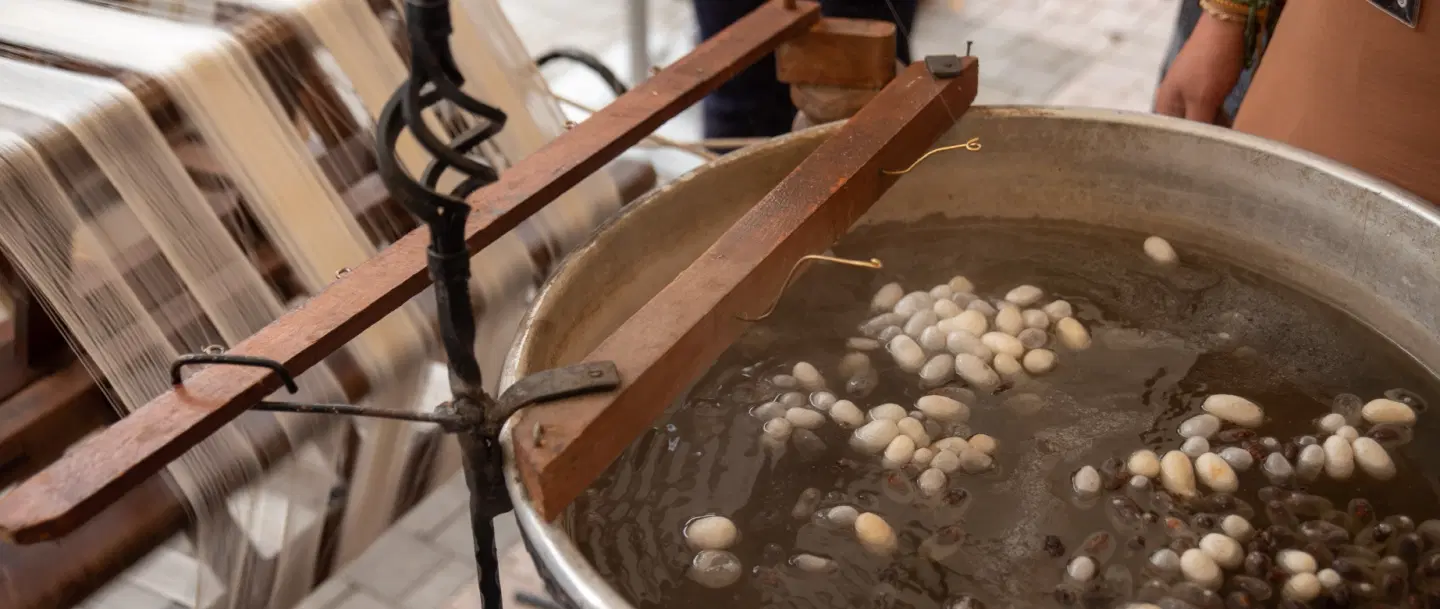 Textile Tour from Istanbul to Bursa exploring Ottoman silk farms, workshops, and historic markets.