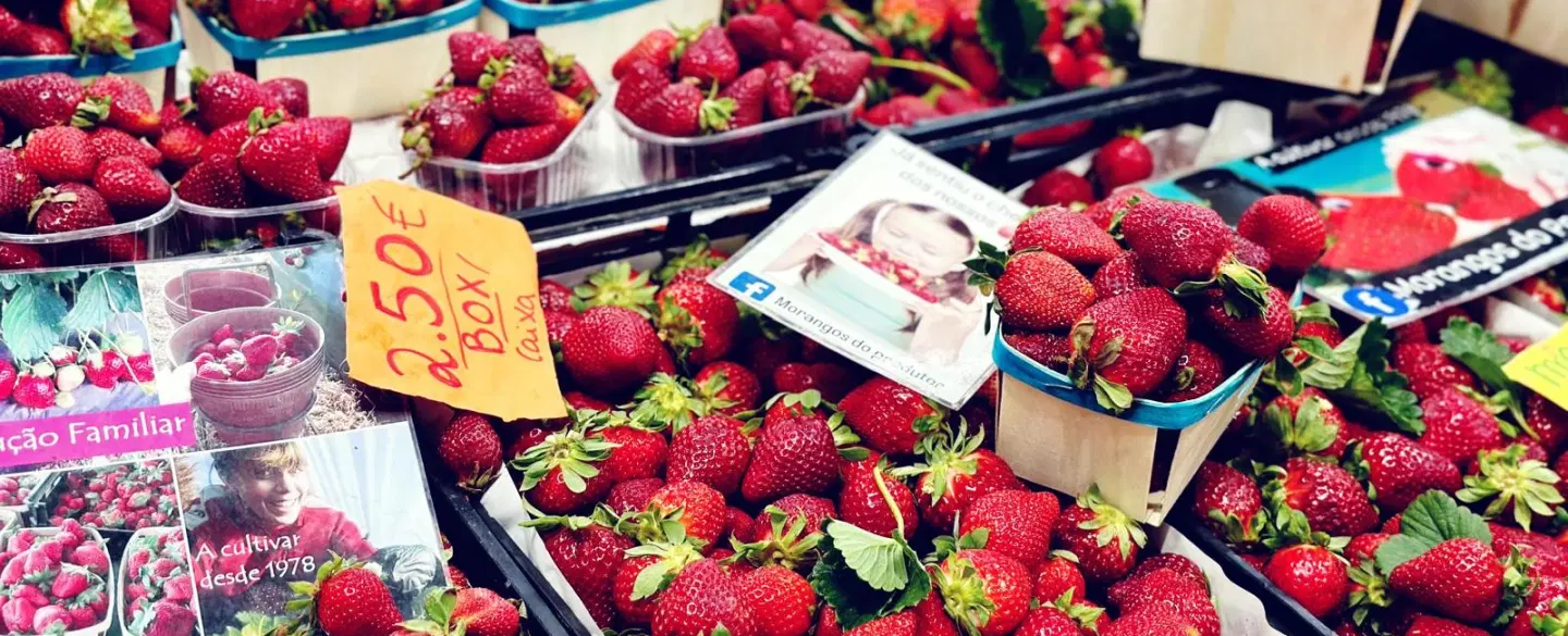 Day trip Setúbal from Lisbon to find its culinary soul in a Market-to-Table tour with a local chef.