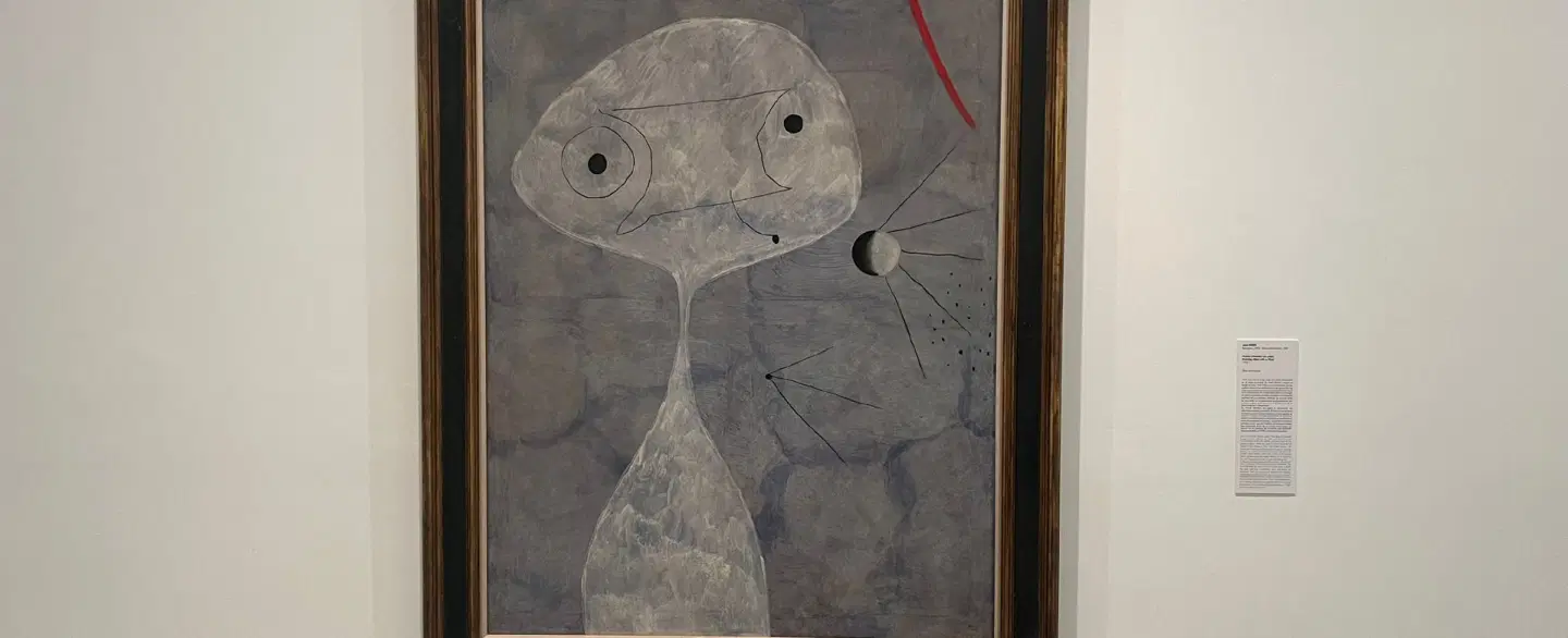 Museum Tour in Madrid at Museo Reina Sofía exploring Spanish modern and avant-garde art history.