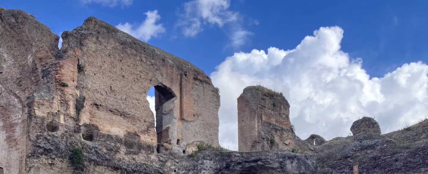 Archaeological Tour in Rome exploring rituals, politics and architecture at the Baths of Caracalla.