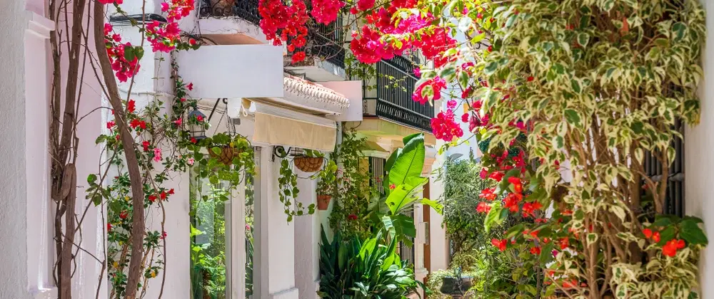 Marbella Day Trip from Malaga exploring Roman mosaics, Islamic medina, Golden Mile on Costa del Sol.