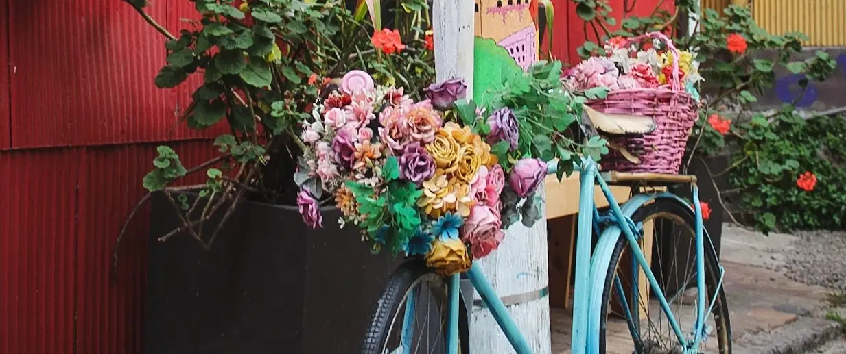 Photo Tour of Valparaíso, Chile’s hills and port district with artistic insight and local stories.