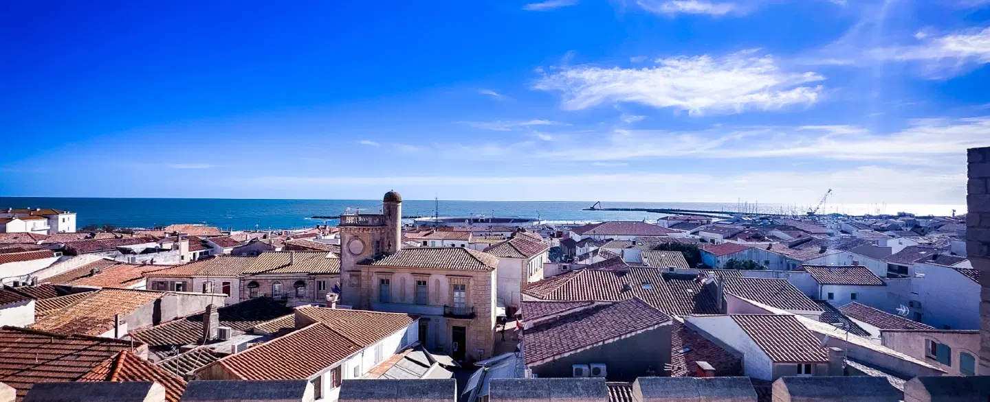 Day Trip in Provence visiting Arles, the Camargue wetlands, flamingos, and Saintes-Maries-de-la-Mer.