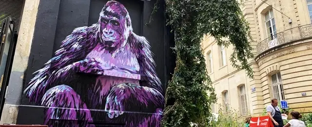 Street Art Walking Tour in Bordeaux exploring murals, graffiti, artists, and social commentary.