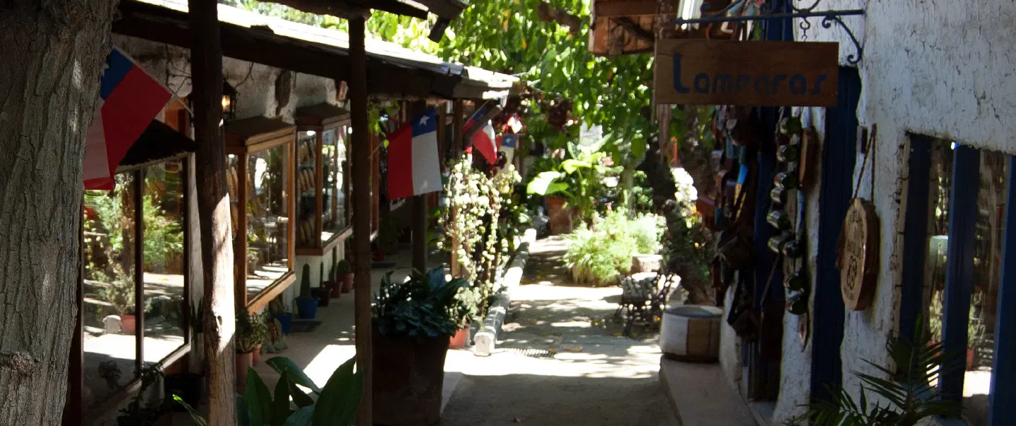 Craft & Textile Tour in Santiago: Discover Chilean weaving, crafts & yarns with a local designer.