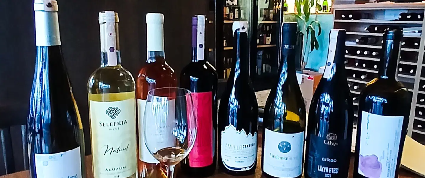 Advanced Wine Tasting in Istanbul exploring Turkey’s top regions, rare grapes, historic terroirs.