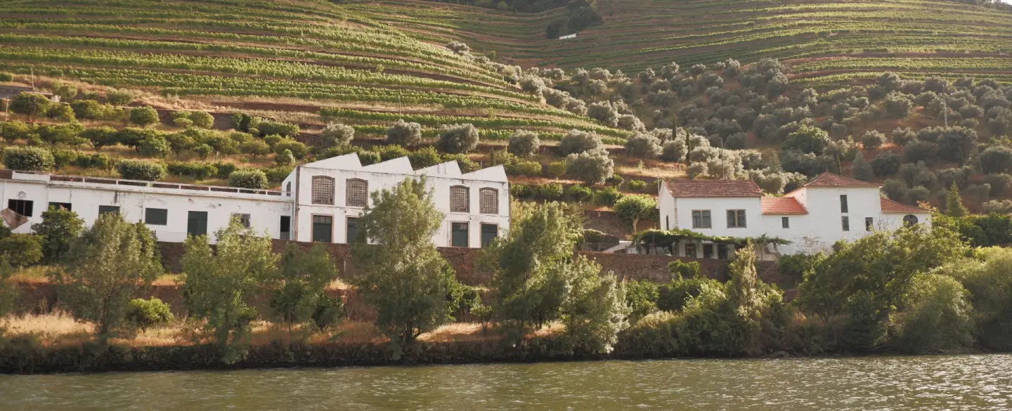 A Day Through the Douro
