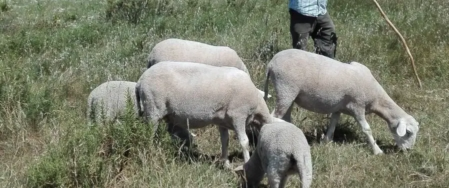 Farm Tour in Aljezur, Algarve with organic farming, local tastings, homemade lunch and west coast.