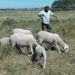 António Has An Organic Farm