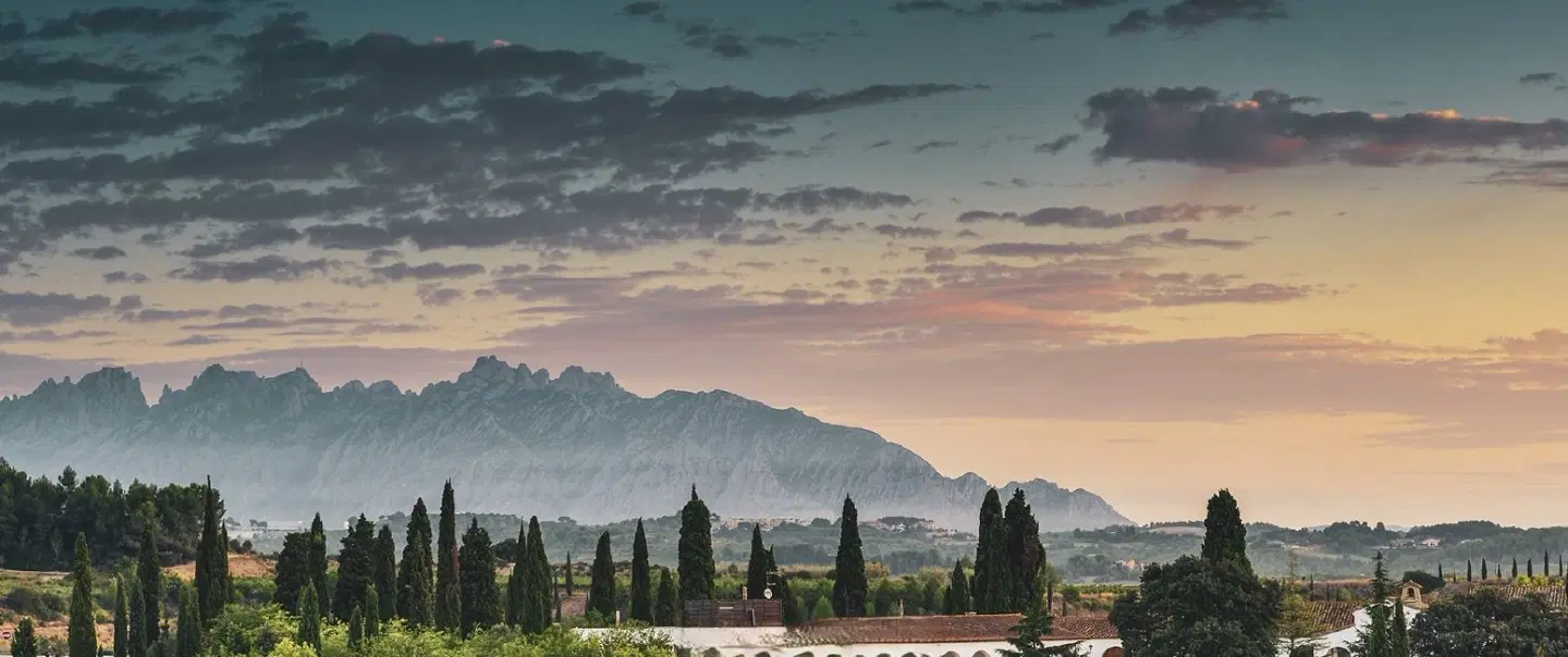 Day Trip from Barcelona to Montserrat: Monastery, Black Madonna, Penedès Vineyard and Cava Tasting.