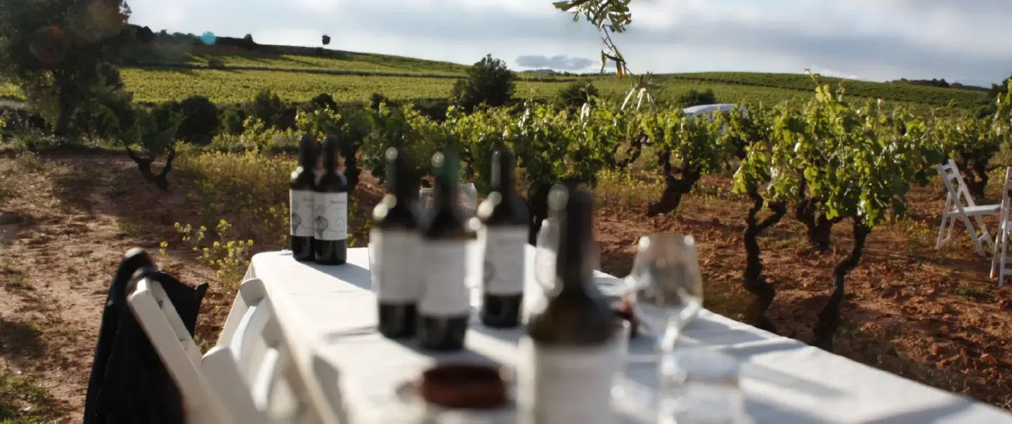 Wine Day Trip from Valencia to Utiel-Requena with Historic Caves, Bobal tasting, and Old Vines.