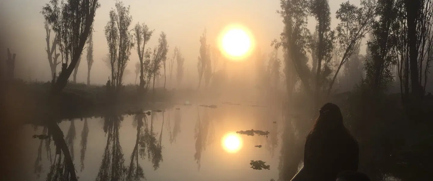 Ancestral Canals at Dawn