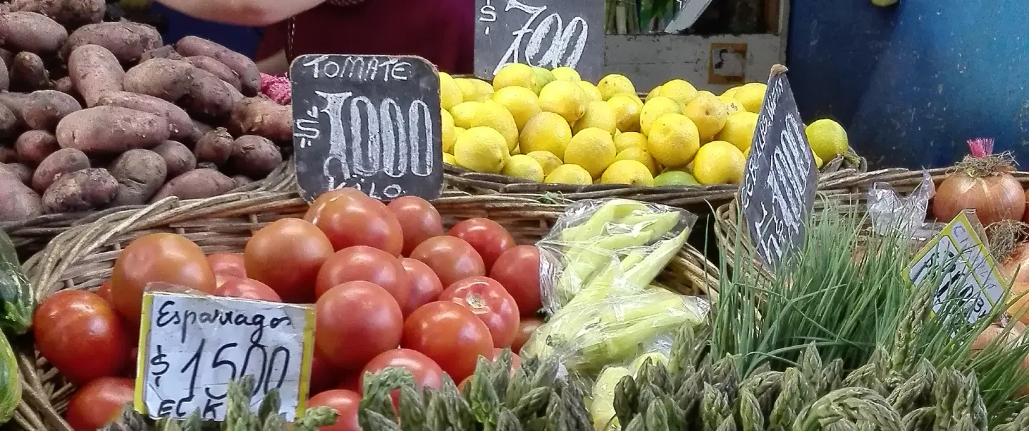 Food & Cooking Tour in Santiago, Chile: markets, seafood cocktail, gourmet home cooking in El Golf.