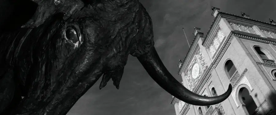 Photo Tour in Madrid, walking with a professional photographer who specializes in black and white.