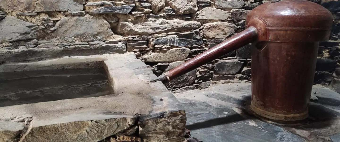 Day Trip from Lisbon or Porto to discover schist villages, mountain life, food & tradition in Lousã.